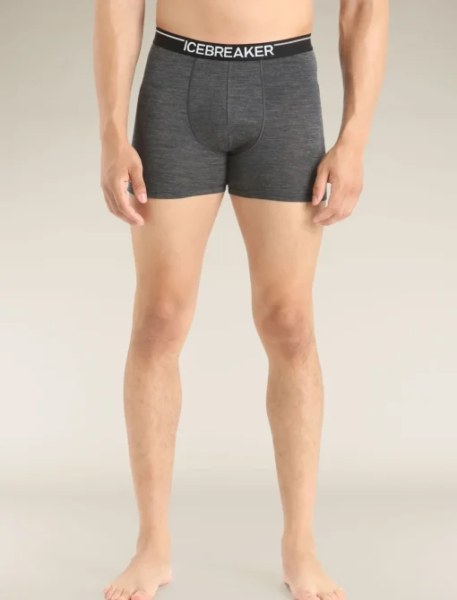 Herren Icebreaker Unterwäsche^Merino Anatomica Boxershorts Herren
