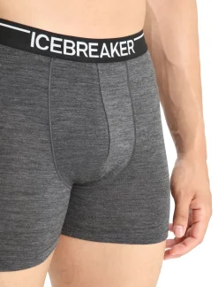 Herren Icebreaker Unterwäsche^Merino Anatomica Boxershorts Herren