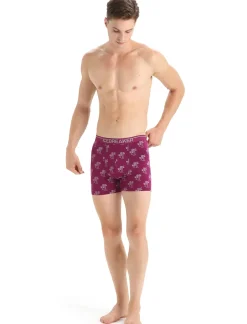 Herren Icebreaker Unterwäsche^Merino Anatomica Boxershorts Herren