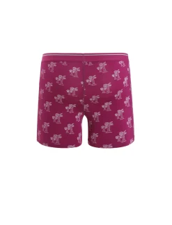 Herren Icebreaker Unterwäsche^Merino Anatomica Boxershorts Herren