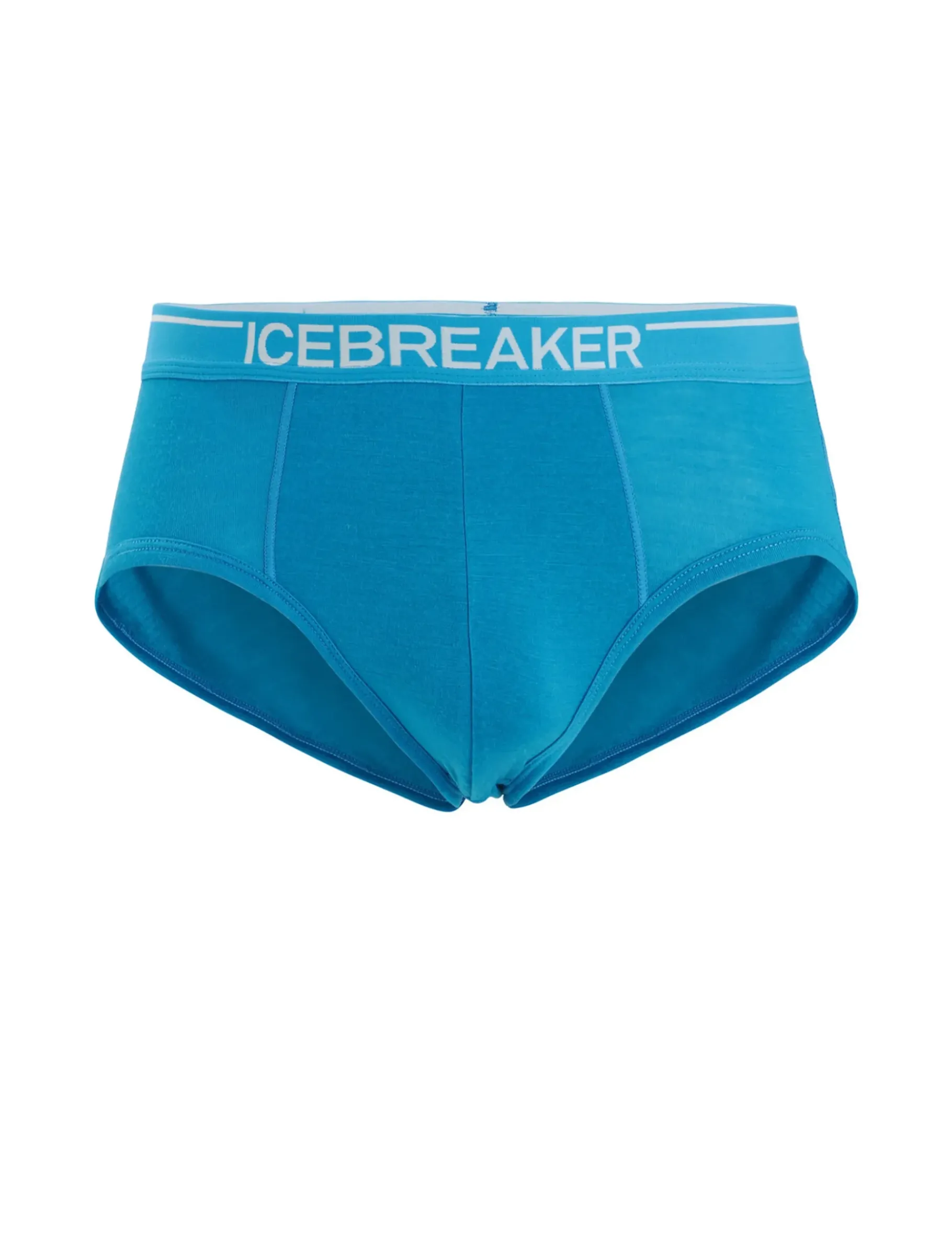 Herren Icebreaker Unterwäsche^Merino Anatomica Slip Herren