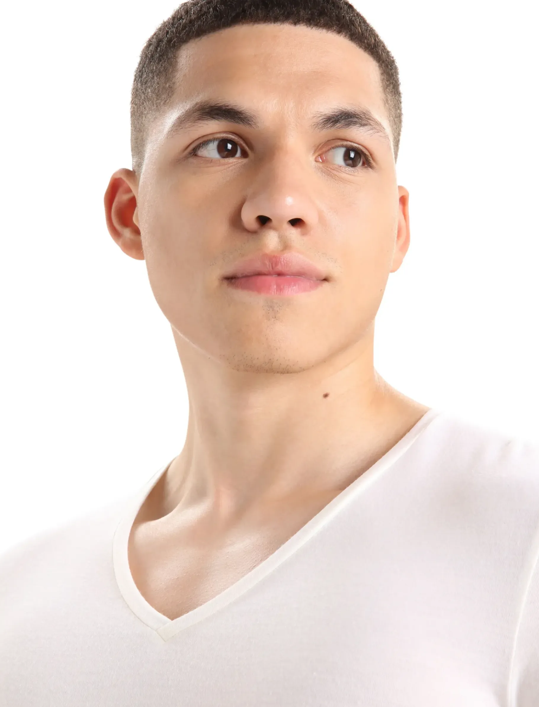 Herren Icebreaker Kurzarmshirts^Merino Anatomica T-Shirt Mit V-Ausschnitt Herren