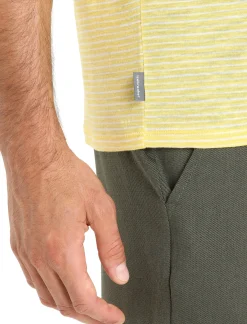 Herren Icebreaker Kurzarmshirts^Merino Leinen T-Shirt Stripe Herren