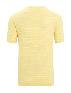 Herren Icebreaker Kurzarmshirts^Merino Leinen T-Shirt Stripe Herren