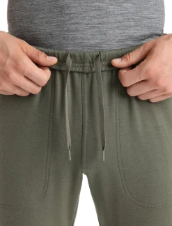 Herren Icebreaker Hosen & Leggings^Merino Shifter Hose Herren
