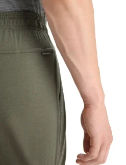 Herren Icebreaker Hosen & Leggings^Merino Shifter Hose Herren