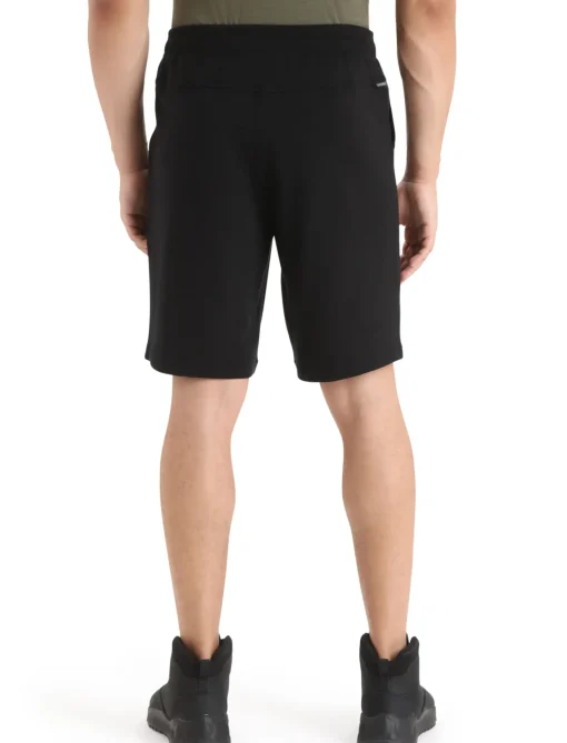 Herren Icebreaker Shorts^Merino Shifter Shorts Herren