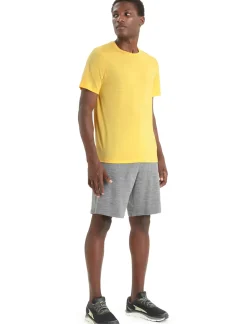 Herren Icebreaker Kurzarmshirts^Merino Tech Lite Ii T-Shirt Herren