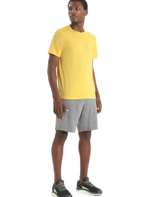 Herren Icebreaker Kurzarmshirts^Merino Tech Lite Ii T-Shirt Herren
