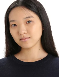 Damen Icebreaker Strickwaren^Merino Wilcox Sweater Damen