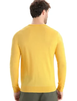 Herren Icebreaker Strickwaren^Merino Wilcox Sweater Herren