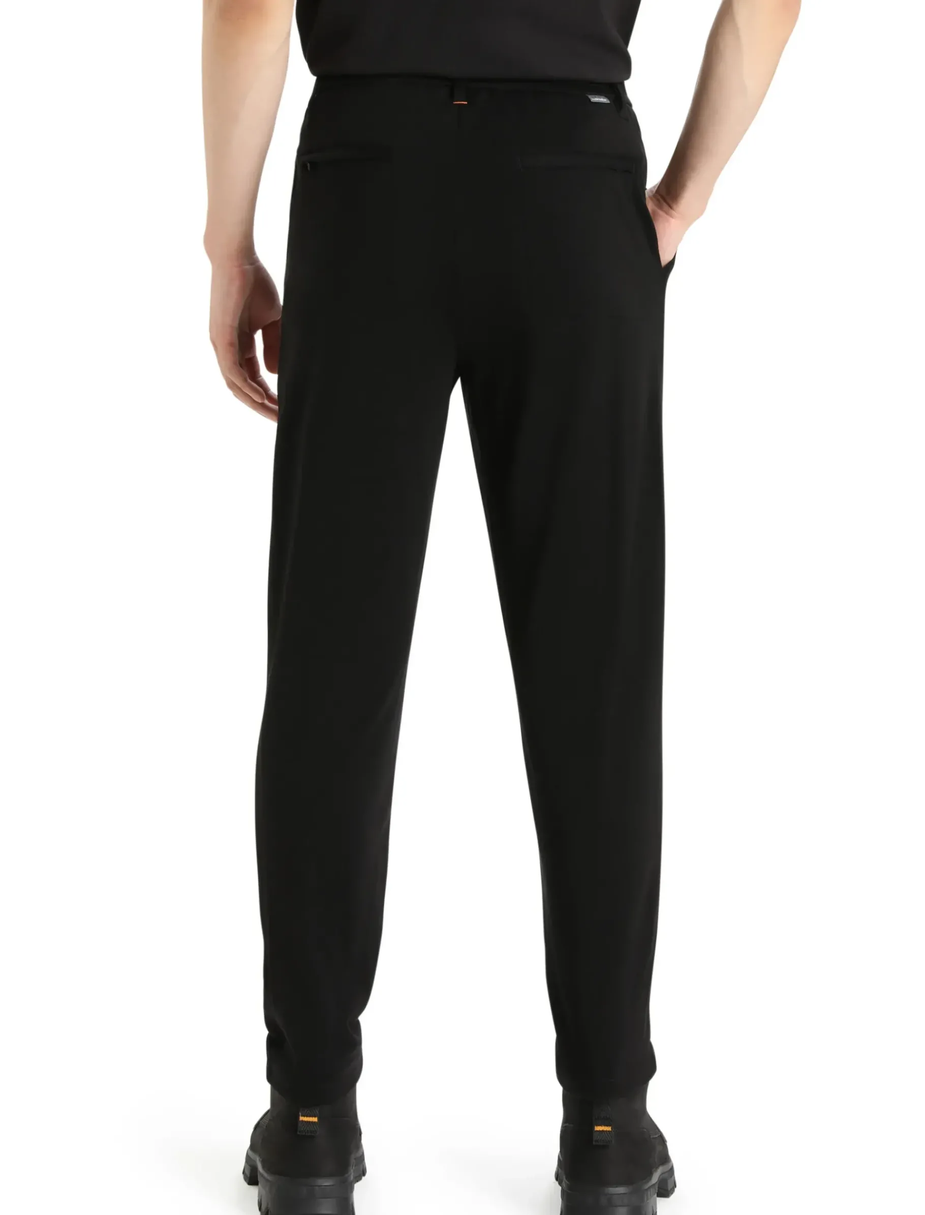 Herren Icebreaker Hosen & Leggings^Merinofine™ Interlock Hose Herren