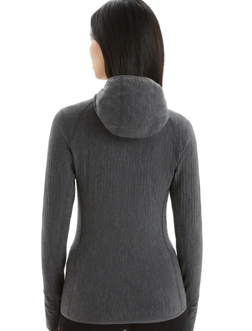 Damen Icebreaker Sweatshirts & Hoodies^Realfleece® Merino Descender Kapuzenjacke Damen